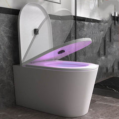Intelligent Induction Toilet Sterilizer – Touchless Automatic - Nuprozone