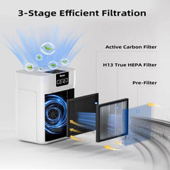 Air Purifier, Shipped From FBA Warehouse, Prohibited From Sale On Amazon - Nuprozone