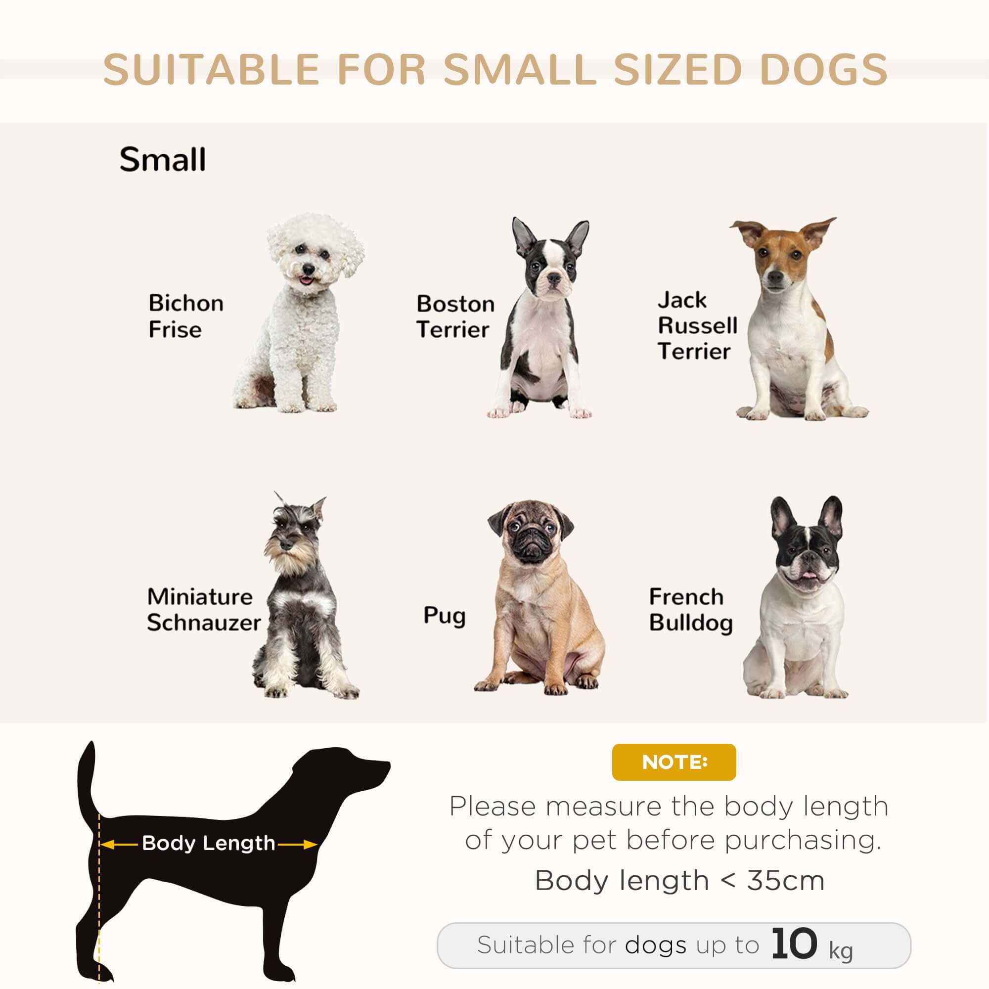 Image showing small dog breeds suitable for dog bed: Bichon Frise, Boston Terrier, Jack Russell Terrier, Miniature Schnauzer, Pug, French Bulldog.
