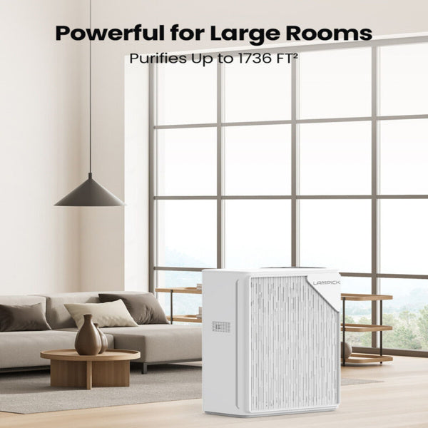 Air Purifier - FBA Warehouse Delivery,- Prohibition Of Selling On Amazon, Temu Platforms