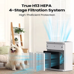 Air Purifier - FBA Warehouse Delivery,- Prohibition Of Selling On Amazon, Temu Platforms