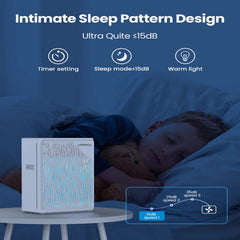 Air Purifier - FBA Warehouse Delivery,- Prohibition Of Selling On Amazon, Temu Platforms